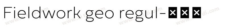 Fieldwork geo regul字体转换